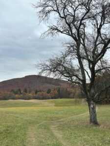 VFzbRQ9QeRm6sQlG8iU2DMy75M1qwtn693OB58VL