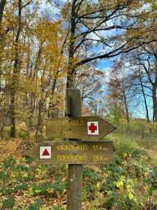 k9UScXUUPXJ5DlzX4uFJy0tQskDy3wh0LBzrkrIb