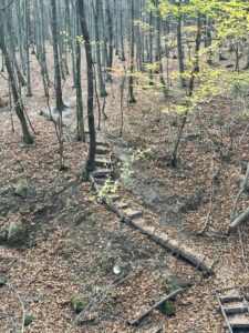 voR9O1DdqBCJ4CQ7PYGt9mH4foot7JuAvTMDHJs7