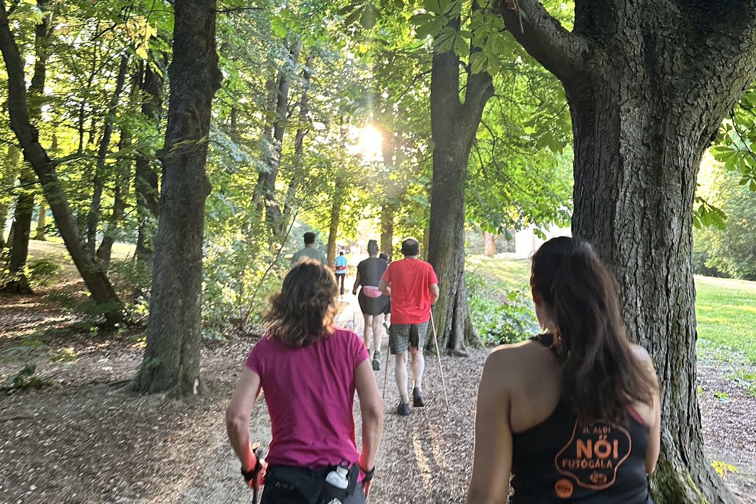 Kezdőlap 14 Nordic Walking - Gyalogolj.hu - Koltai András. Nordic walking tanfolyamok, csoportos és személyi edzések, tanfolyamok Budapesten a Budai-hegyekben.