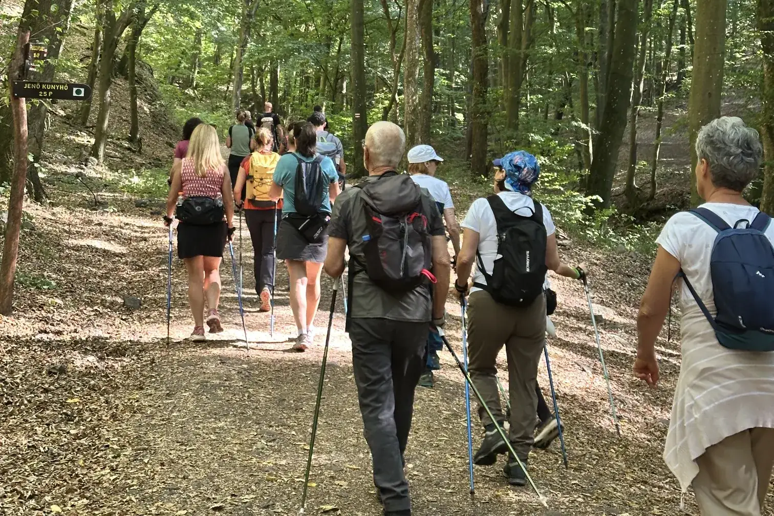 Nordic walking <strong>magánedzések</strong> 2 Nordic walking séta az erdőben